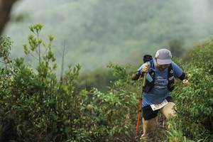 BIB: 
                            <button type="button" onclick="openModal(24760299)" class="btn btn-primary btn-sm float-right btn-popup" data-toggle="modal" data-target=".modal-high-quality">
                        <i class="fas fa-shopping-cart"></i> Add to Cart
                    </button>
                                            <button type="button" onclick="isThisMe(24760299, true)" class="btn btn-success btn-sm float-right btn-popup btn-isme hidden" data-toggle="tooltip" data-placement="bottom" title="นี่คือรูปของคุณใช่ไหม คลิกที่นี่เพื่อเอาเข้าอัลบั้ม">
                        <i class="fas fa-plus"></i> Add to album
                    </button>
                    <button type="button" onclick="isThisMe(24760299, false)" class="btn btn-warning btn-sm float-right btn-popup btn-isnotme hidden">
                        <i class="fas fa-ban"></i> Remove from album
                    </button>